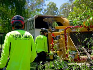 Tree Lopping and Removal Quotes